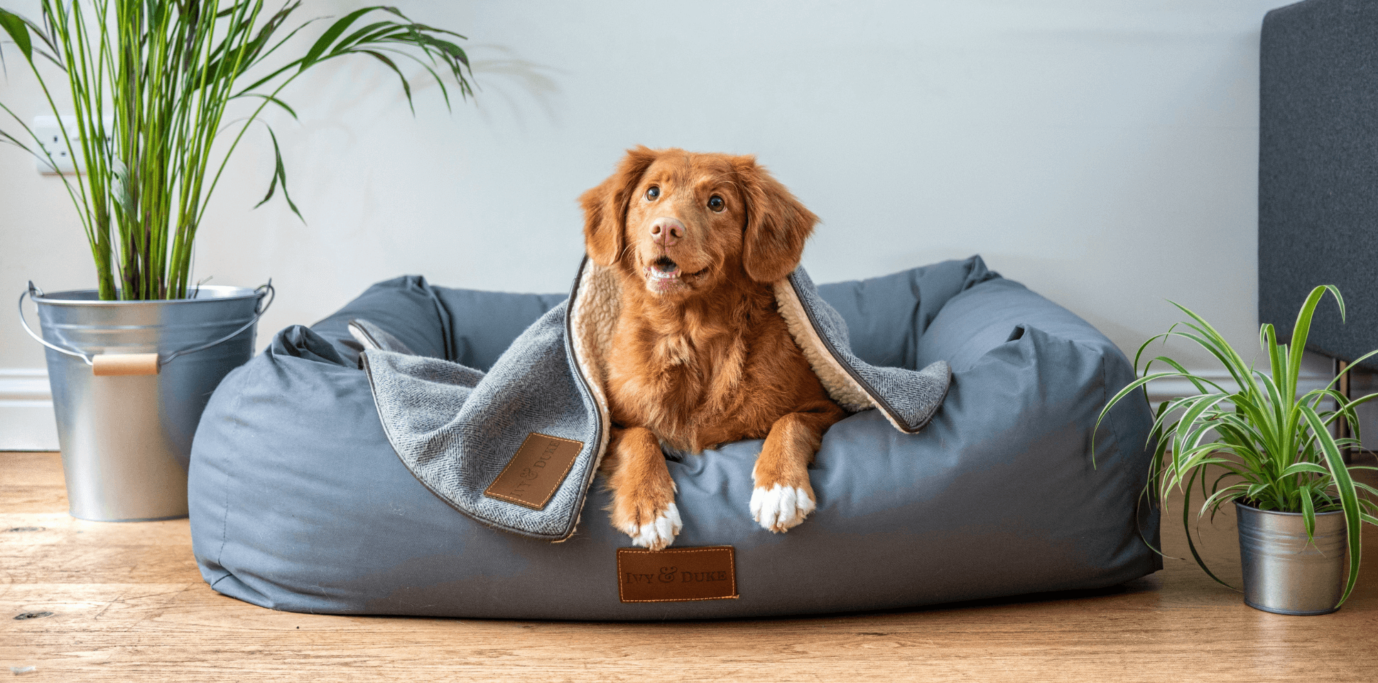 Pet supplies store from UK