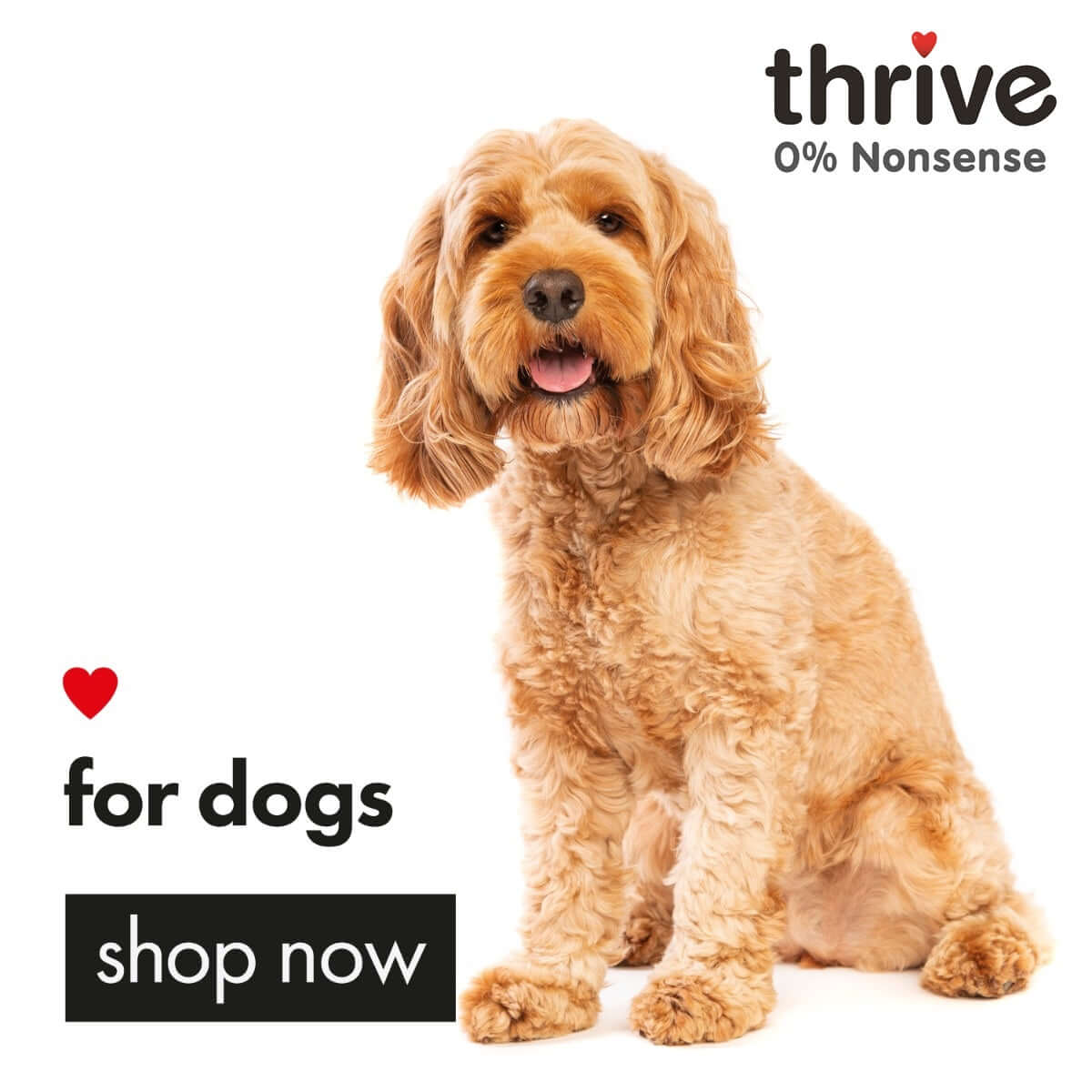 Thrive Dog Food