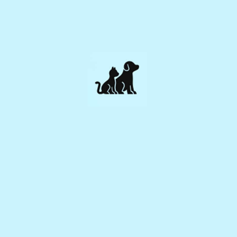 Cat supplies category banner