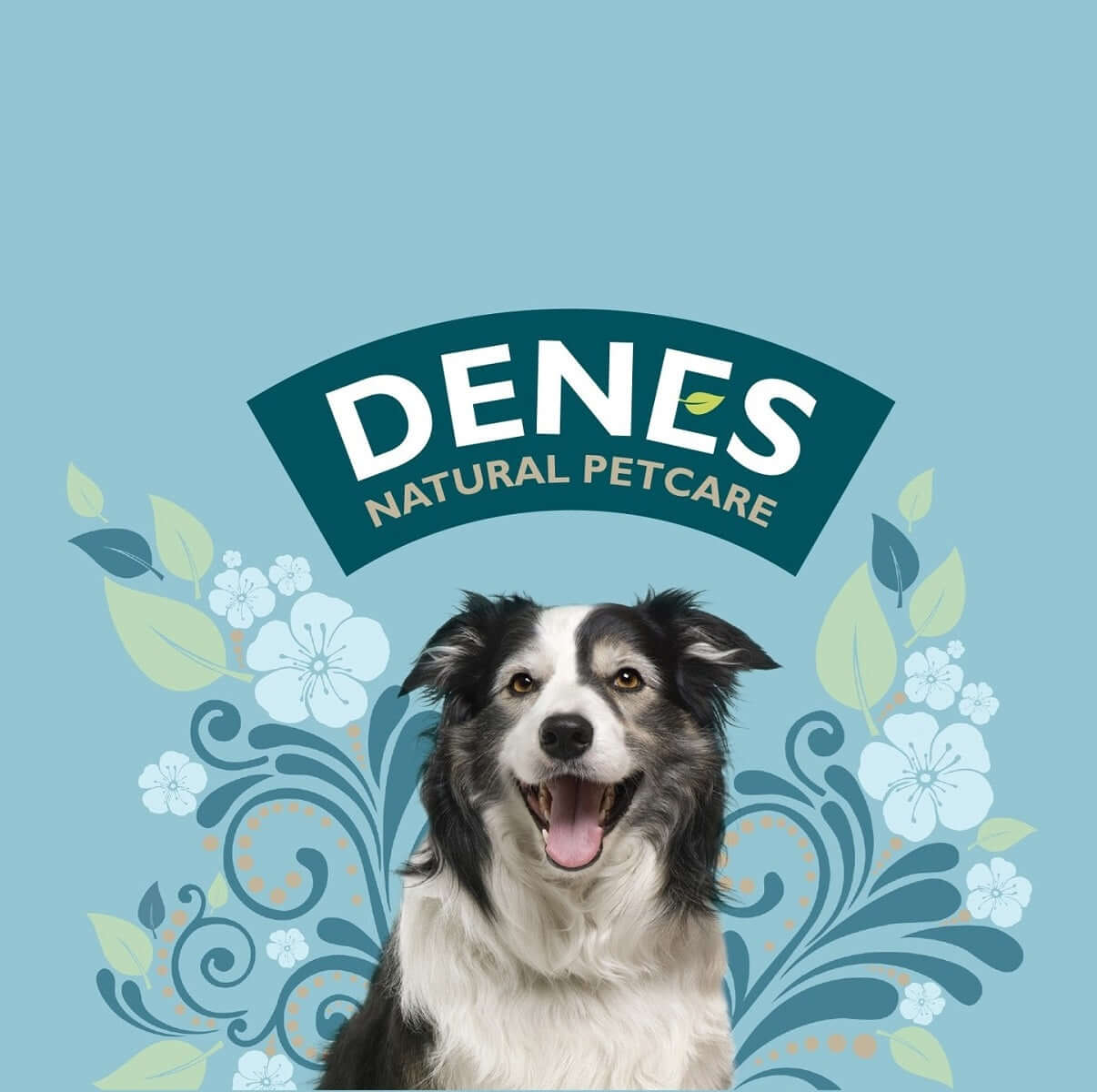 Denes Pet