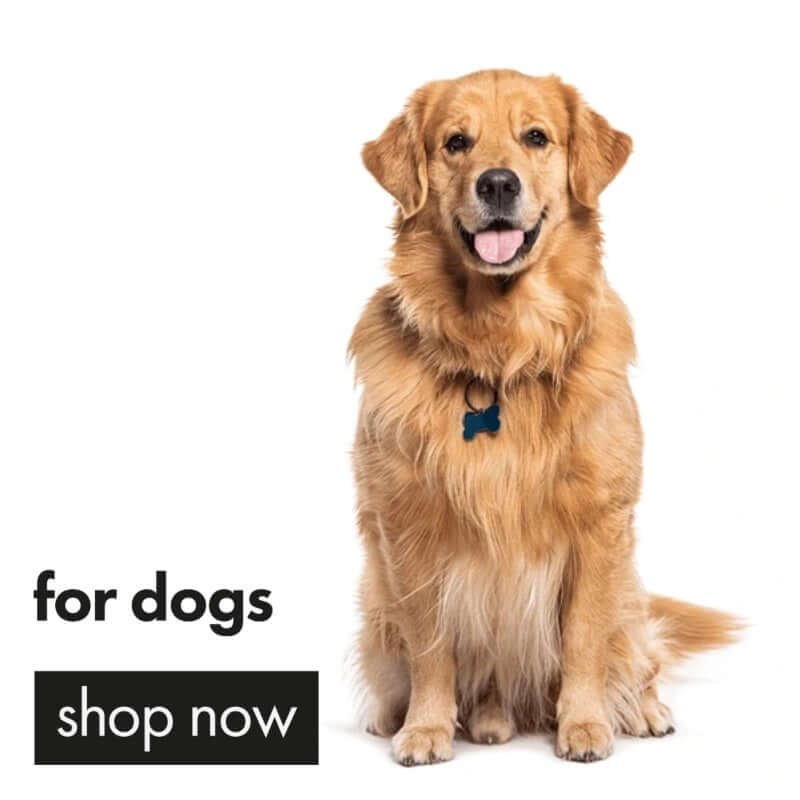 Dog Supplies