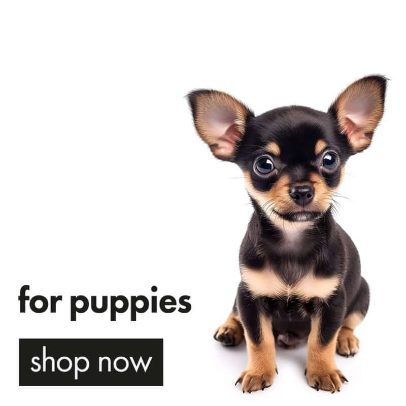 Puppy Supplies